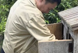 刘嘉玲晒法国生活日常 梁朝伟打扮似农夫 提篮专注捡鸡蛋真接地气