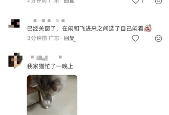 关窗! 关灯! 深圳多地突然大量出现 头皮发麻