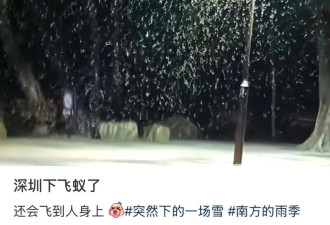 关窗! 关灯! 深圳多地突然大量出现 头皮发麻
