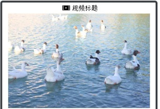 宇树发布全球首款量产载人机甲 CEO亲自试驾