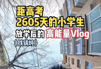 600万粉丝求同款的小孩哥，全靠背后的“摆烂妈”?