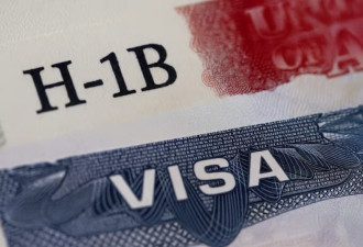 华人伪装合法托儿机构 H-1B签证1份卖2万
