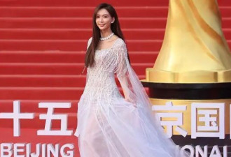 林志玲担任台湾“文策院”董事为何引发激辩？
