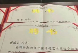 中国视协双新工作委员会换届 杨幂受聘担任副会长