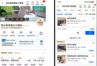 淡季的国内酒店，卷到没有底线了