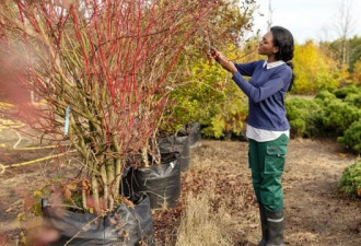轻松减慢大脑老化并预防阿兹海默症的3种方法