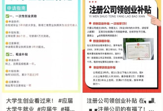 骗补贴的生意？中介盯上刚毕业的大学生