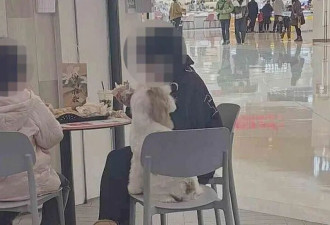 商场推行“宠物友好” 曝不拴绳、狗上桌乱象后被约谈