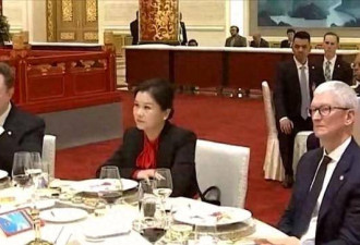 照片刷屏：坐在马斯克和库克中间的中国女人是谁