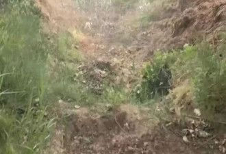 智力残疾男子溺亡两米深沟，家属索赔10万元遭拒