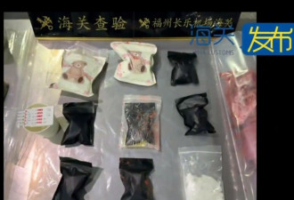 福州长乐机场海关查获冰毒：塑封袋双层密封