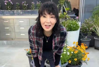 张曼玉香港豪华天台曝光，法国的花园更大气