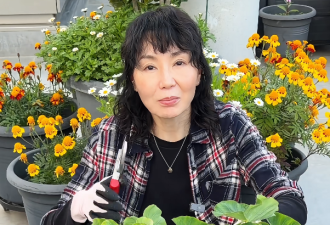 张曼玉香港豪华天台曝光，法国的花园更大气