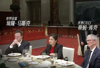 左手库克 右手马斯克 初中辍学的打工妹坐C位