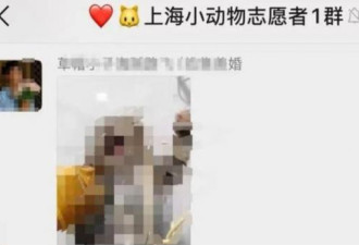 上海女子驱车1000多公里跨省报警
