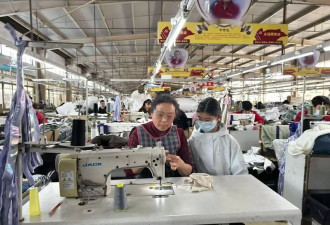 人在县城，72岁，我带280个残疾人创业