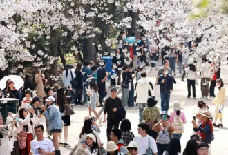 高校大门开放争议背后:一个人的抗争,一群人的生意