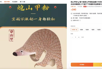 穿山甲被药典除名6年,淘宝药房还拿2015版标准卖