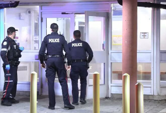 多伦多怡陶碧谷公寓凌晨凶案：男子与朋友争执被刺身亡