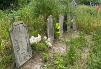 武汉一村庄585人62人患癌 村民质疑污水所致