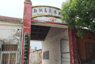 武汉一村庄585人62人患癌 村民质疑污水所致