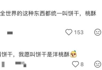 中国的万卡大桃酥 暴击老外白人胃