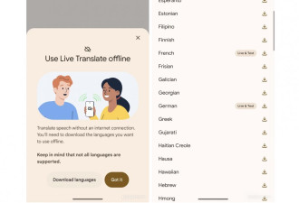 Google新功能曝光 即时翻译不用网络也能用