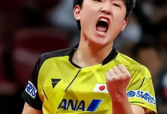 忍了7年！张本智和全家“逃离”日本
