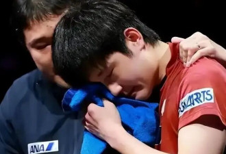 忍了7年！张本智和全家“逃离”日本