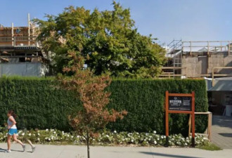 加拿大华人夫妇砍除自家门口小树, 遭$2400万豪宅邻居索赔!