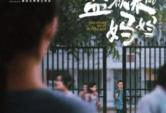 《监狱来的妈妈》改编引发巨大争议，姚晨紧急删文，汪涵深陷风波