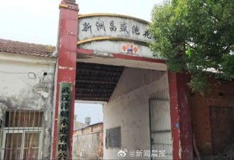 热搜第一：武汉一村庄585人 62人集体罹癌