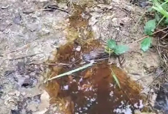 “585人村庄62人患癌”追踪:村民称调查组已到村