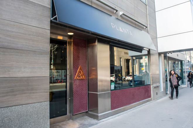 Planta 多伦多门店关闭