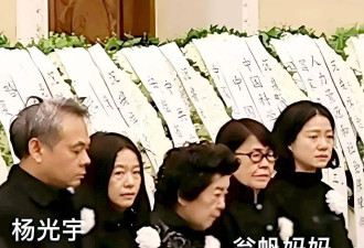 翁帆即将满50岁!杨振宁走后,她只有两大人生目标