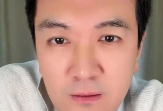 套现28亿仅冰山一角 杨子新欢曝光 正式立案 难怪黄圣依要离婚