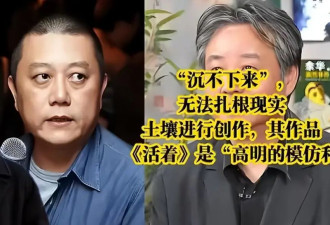 68岁王朔现状：满头白发神似李亚鹏 没钱靠朋友接济