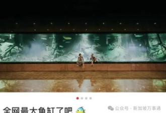 陈志背后的神秘女人：美籍华裔 选美上位