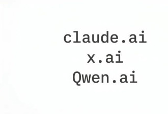 在AI时代 两个字母如何养活一个国家