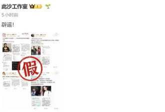 陈丽君此沙方双双否认恋情：假的，会发布正式律师声明