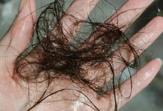 中年男人特供，害惨年轻女性