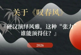16.6亿播放的“公狗”，到底在刷屏什么