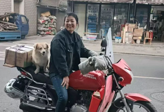 菜场里的作家：她并不浪漫，也不幻想