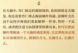 从ADHD到前额叶受损：年轻人热衷赛博确诊