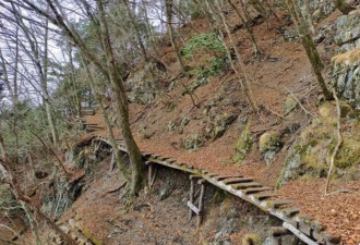 东京山区惊现“半截遗体” 恐是近十年首起熊袭致死