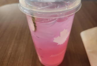 零糖也好喝？Tim Hortons 新品走红，喝过的网友意见不一