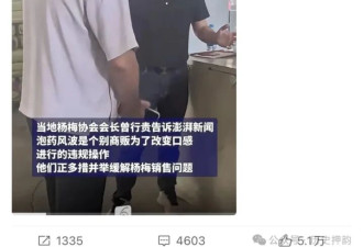 同样的杨梅，合格的出口欧洲，泡药的发往全中国