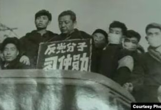 祸国殃民登峰造极，老毛搞文革为自己掘墓