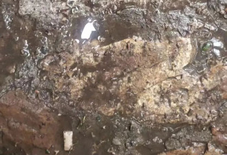 公园用墓碑铺路，碑面可见“先父”“贤妻”等称谓