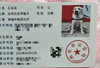 西安申领的导盲犬在天津办不了狗证 公安让找残联